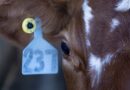 The sneaky way even meat lovers can lessen their climate impact