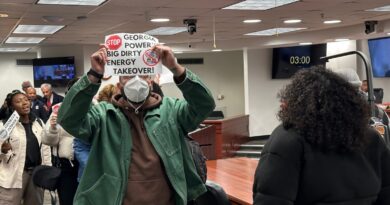 Utilities in the Southeast may be overestimating the AI boom