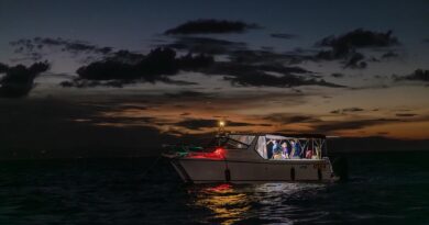 Inside the historic effort to keep the Great Barrier Reef alive