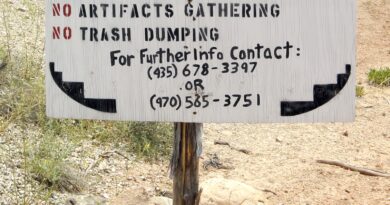 Billie Eilish, stolen land, and the climate cost of America’s dispossession