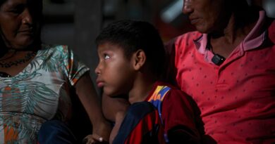 The Brazilian government keeps giving out mining licenses in the Amazon – in spite of evidence of gold ‘laundering’