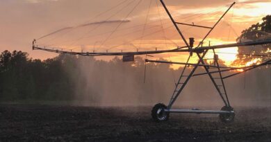 Georgia is losing farmland fast. Is a state conservation fund enough to save it?