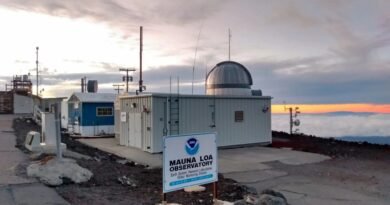 Why Germany is building an ark for US climate data