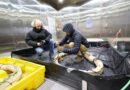 US Army, Navy research labs team up to combat Arctic cold