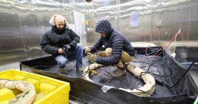 US Army, Navy research labs team up to combat Arctic cold