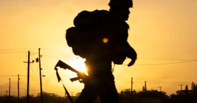 Routine testosterone screening of US troops may require extensive follow-on care, study finds
