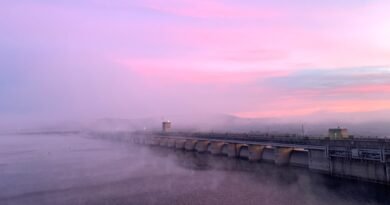 US Army Corps of Engineers failed to explain drop in environmental mitigation work: Watchdog