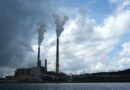 Is coal really making a comeback?