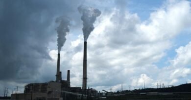 Is coal really making a comeback?