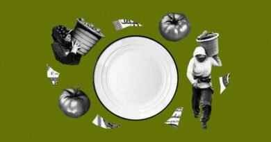 From the farm to your door: How our global food system exploits workers