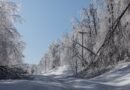 A federal program to restore forests after disaster has gotten too many funding requests